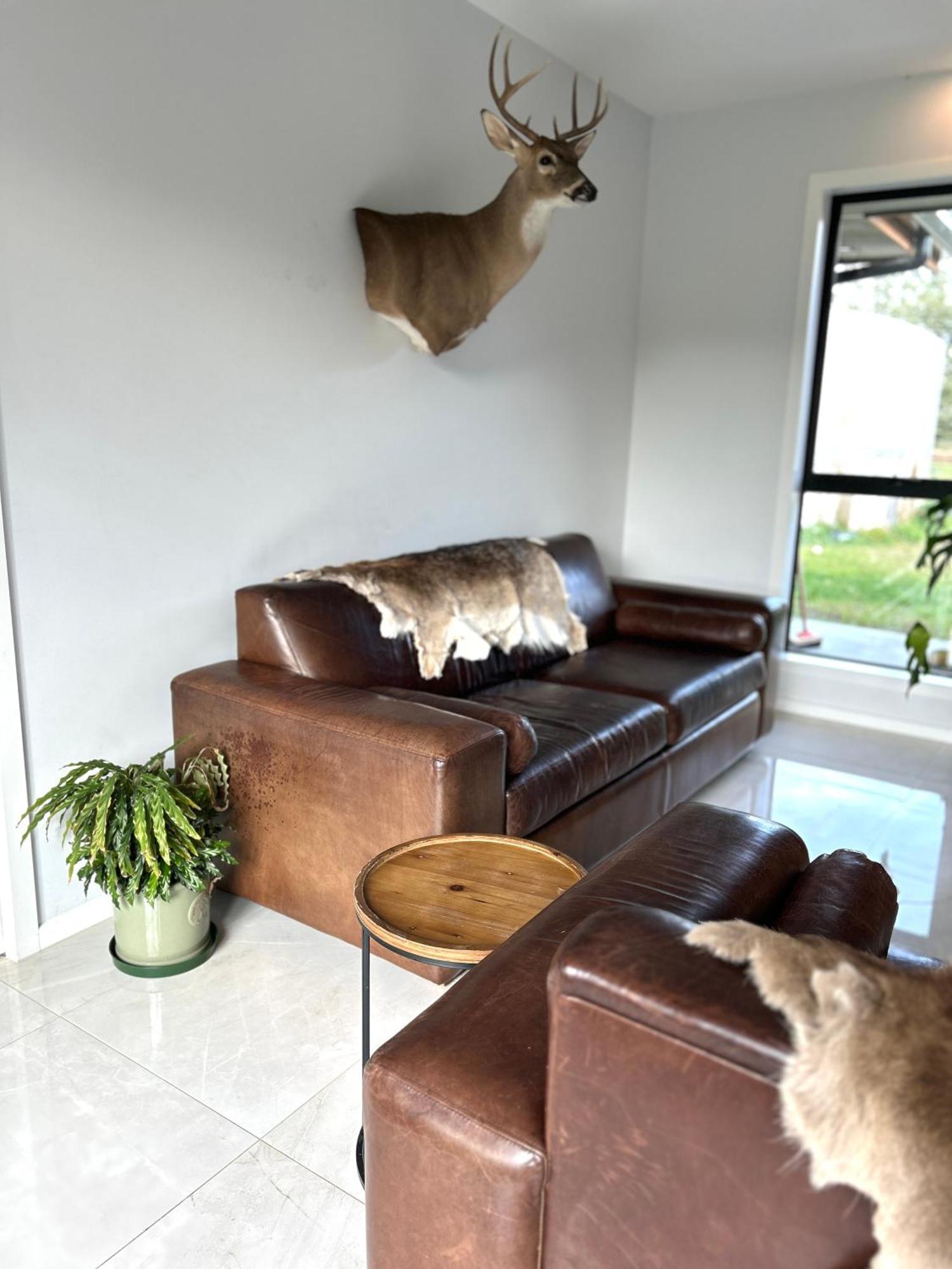 Tarras Serenity Haven - Mountain Views And Calm 外观 照片